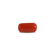Red Coral